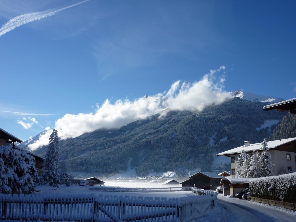 Haus Bellis Appartement Neustift im Stubaital Buitenkant foto